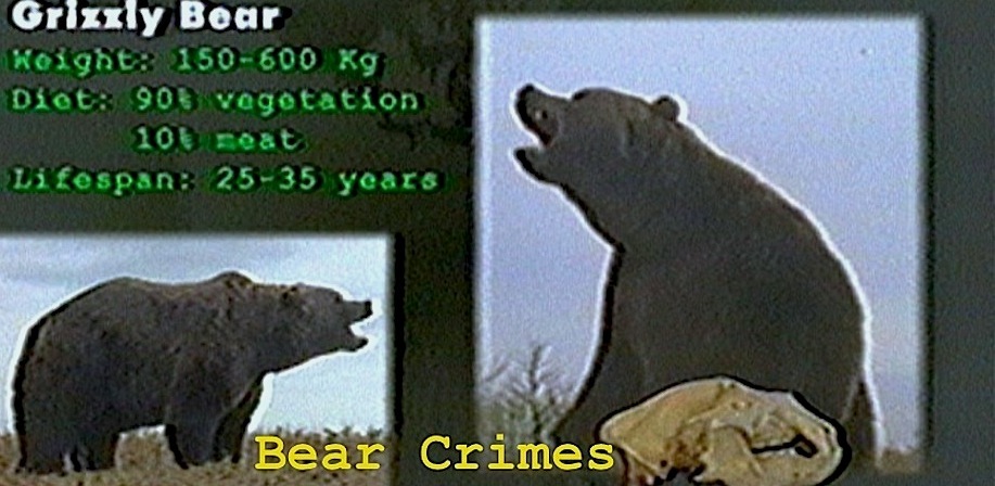 Slide 7